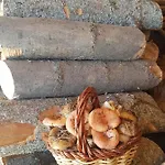 Country house Cal Gerard -