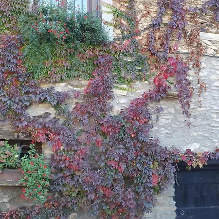Country house Cal Gerard - *
