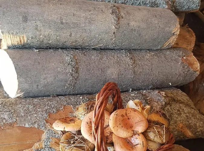 Kır Evi Cal Gerard -